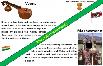 Indian Musical Instruments vs Corresponding Instruments in Eswatini